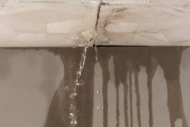 Professional Sewage Cleanup technician working in Rush Hill, MO